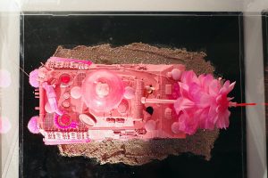 Pink Tank